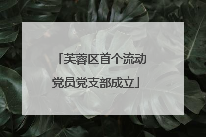 芙蓉区首个流动党员党支部成立