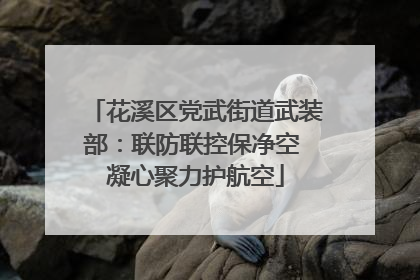 花溪区党武街道武装部：联防联控保净空 凝心聚力护航空