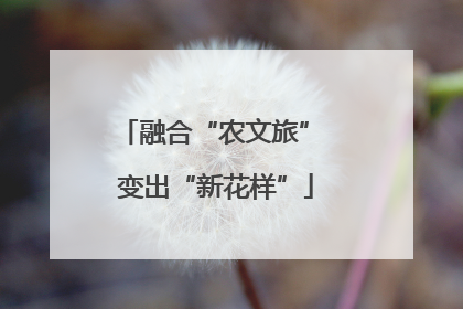 融合“农文旅” 变出“新花样”