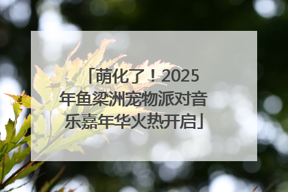 萌化了！2025年鱼梁洲宠物派对音乐嘉年华火热开启
