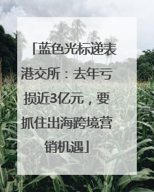 蓝色光标递表港交所：去年亏损近3亿元，要抓住出海跨境营销机遇