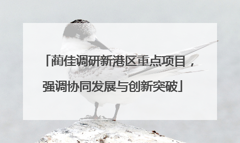 蔺佳调研新港区重点项目，强调协同发展与创新突破