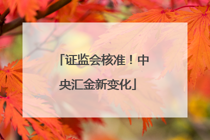 证监会核准！中央汇金新变化