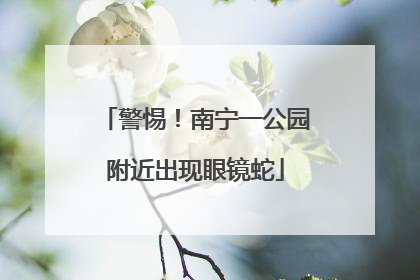 警惕！南宁一公园附近出现眼镜蛇