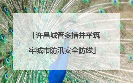 许昌城管多措并举筑牢城市防汛安全防线
