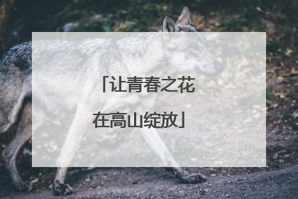 让青春之花在高山绽放