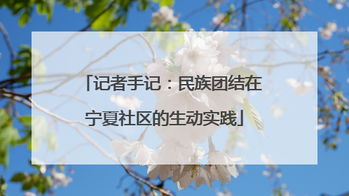 记者手记：民族团结在宁夏社区的生动实践