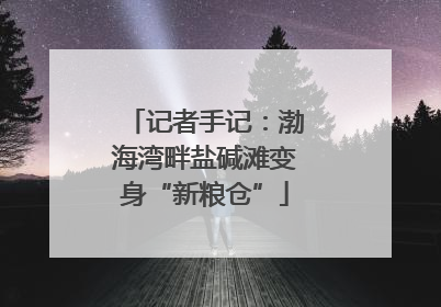 记者手记：渤海湾畔盐碱滩变身“新粮仓”