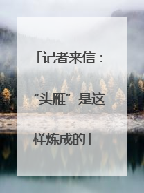 记者来信：“头雁”是这样炼成的