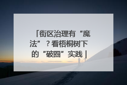 街区治理有“魔法”？看梧桐树下的“破圈”实践｜我在街区当书记
