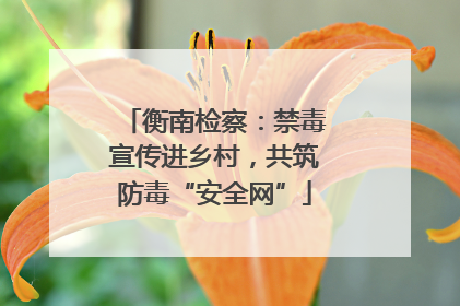 衡南检察：禁毒宣传进乡村，共筑防毒“安全网”