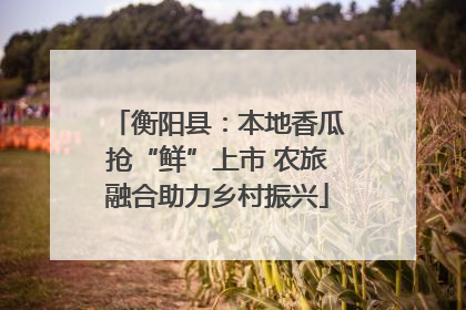 衡阳县：本地香瓜抢“鲜”上市 农旅融合助力乡村振兴