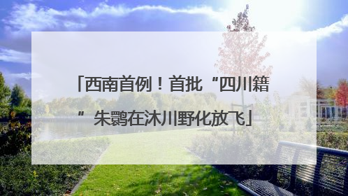 西南首例！首批“四川籍”朱鹮在沐川野化放飞