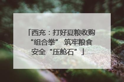 西充：打好夏粮收购“组合拳” 筑牢粮食安全“压舱石”