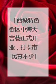 西城特色街区中海大吉巷正式开业，打卡市民真不少