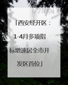 西安经开区：1-4月多项指标增速居全市开发区首位