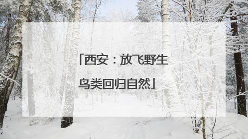 西安：放飞野生鸟类回归自然
