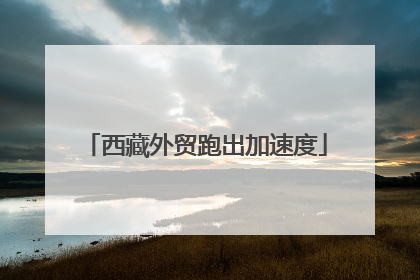 西藏外贸跑出加速度