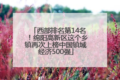 西部排名第14名！绵阳高新区这个乡镇再次上榜中国镇域经济500强