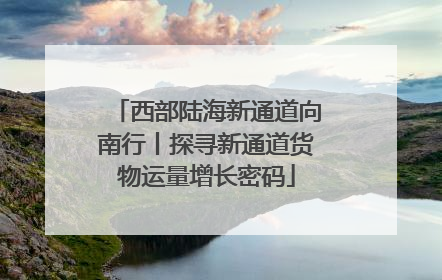 西部陆海新通道向南行丨探寻新通道货物运量增长密码