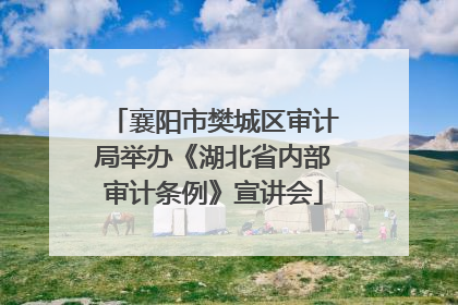 襄阳市樊城区审计局举办《湖北省内部审计条例》宣讲会