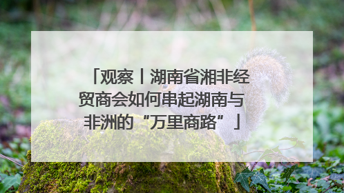 观察丨湖南省湘非经贸商会如何串起湖南与非洲的“万里商路”