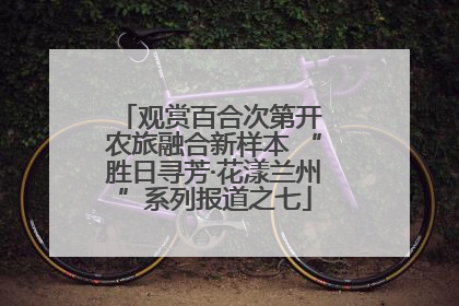 观赏百合次第开 农旅融合新样本 “胜日寻芳·花漾兰州”系列报道之七