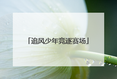 追风少年竞逐赛场