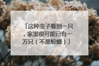 这种虫子看到一只，家里很可能已有一万只（不是蟑螂）