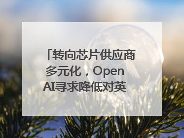转向芯片供应商多元化，OpenAI寻求降低对英伟达依赖