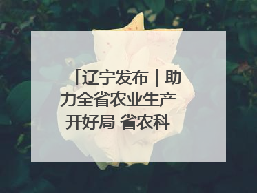 辽宁发布｜助力全省农业生产开好局 省农科院科技服务春耕备耕成效显著