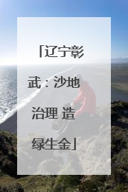 辽宁彰武：沙地治理 造绿生金