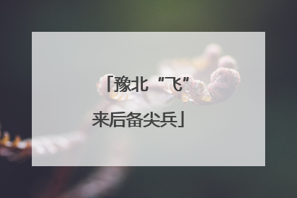 豫北“飞”来后备尖兵