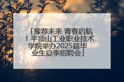 豫荐未来 青春启航！平顶山工业职业技术学院举办2025届毕业生夏季招聘会