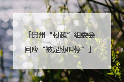 贵州“村超”组委会回应“被足协叫停”