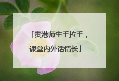 贵港师生手拉手，课堂内外话情长