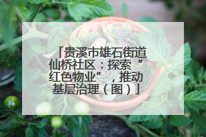 贵溪市雄石街道仙桥社区：探索“红色物业”，推动基层治理（图）