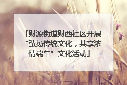 财源街道财西社区开展“弘扬传统文化，共享浓情端午”文化活动