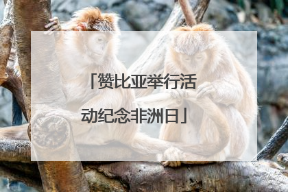 赞比亚举行活动纪念非洲日