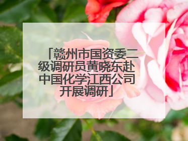 赣州市国资委二级调研员黄晓东赴中国化学江西公司开展调研