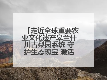 走近全球重要农业文化遗产皋兰什川古梨园系统 守护生态瑰宝 激活发展动能