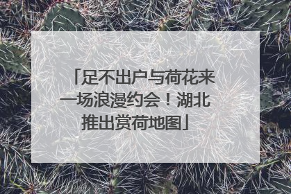 足不出户与荷花来一场浪漫约会！湖北推出赏荷地图