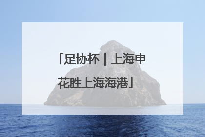 足协杯｜上海申花胜上海海港