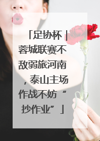 足协杯｜蓉城联赛不敌弱旅河南，泰山主场作战不妨“抄作业”