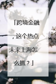 跨境金融，这个热点未来上海怎么抓？