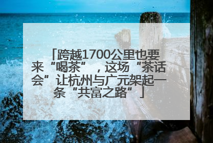 跨越1700公里也要来“喝茶”，这场“茶话会”让杭州与广元架起一条“共富之路”