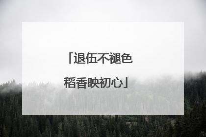 退伍不褪色 稻香映初心