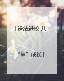 送法进校 共“童”成长