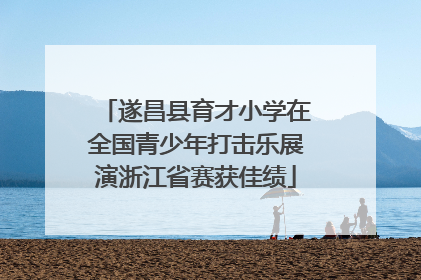 遂昌县育才小学在全国青少年打击乐展演浙江省赛获佳绩