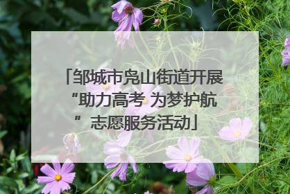 邹城市凫山街道开展“助力高考 为梦护航”志愿服务活动